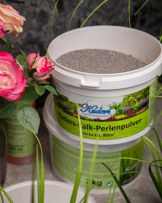 Produktabbildung 2 für Kalk-Perlenpulver