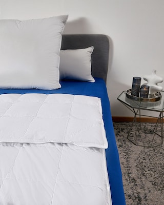 Produktabbildung 2 für Eiderdaunenkissen