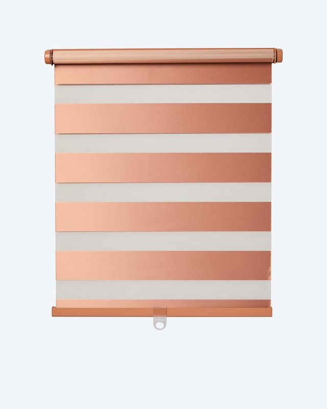 Day & Night Tür-Rollo "Black Out"