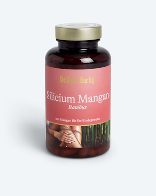 Produktabbildung 1 für Silicium Mangan Bambus, 120 Kapseln