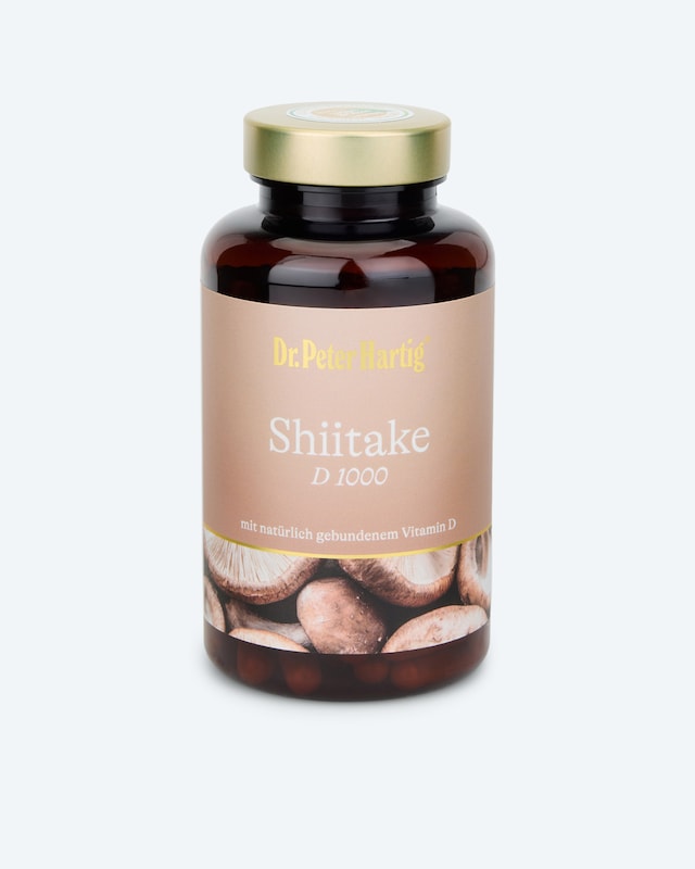 Shiitake D 1000, 120 Kapseln