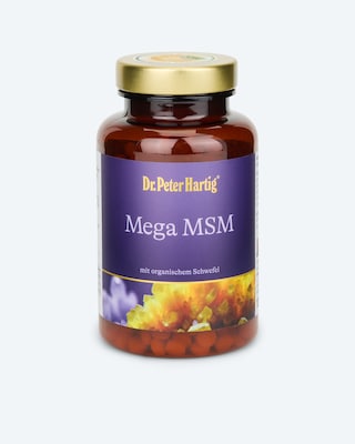 Produktabbildung 1 für Mega MSM, 675 Presslinge