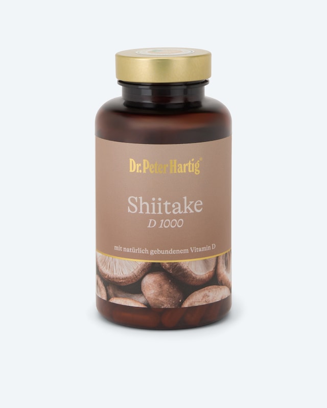 Shiitake D 1000, 120 Kapseln