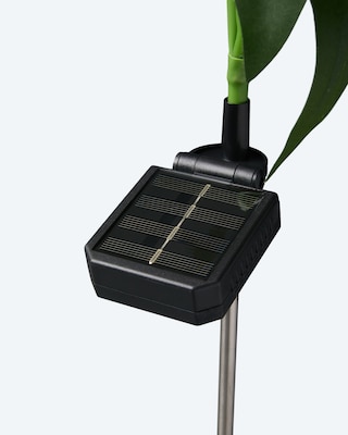 Produktabbildung 4 für Solar-Pfingstrosen, 2er-Set