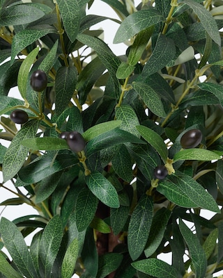 Produktabbildung 4 für Kunstpflanze Olivenbaum