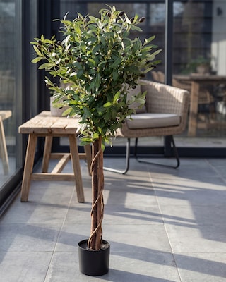 Produktabbildung 1 für Kunstpflanze Olivenbaum