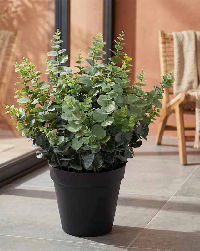 Kunstpflanze Eukalyptus XXL