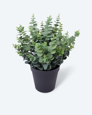 Produktabbildung 3 für Kunstpflanze Eukalyptus XXL