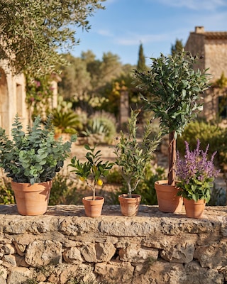 Produktabbildung 2 für Kunstpflanze Eukalyptus XXL