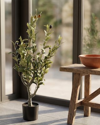 Produktabbildung 1 für Kunstpflanze Olivenbaum