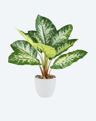 Produktabbildung 3 für Kunstpflanzen-Set Dieffenbachia/Philodendron, 2tlg.