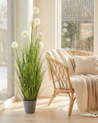 Produktabbildung 2 für Kunstpflanze Pusteblume, 150 cm