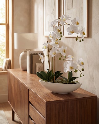 Produktabbildung 2 für Phalaenopsis im Keramikschiff