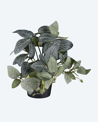 Produktabbildung 2 für Kunstpflanzen-Set, 3tlg.