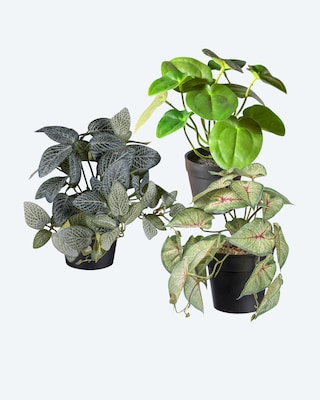 Produktabbildung 1 für Kunstpflanzen-Set, 3tlg.