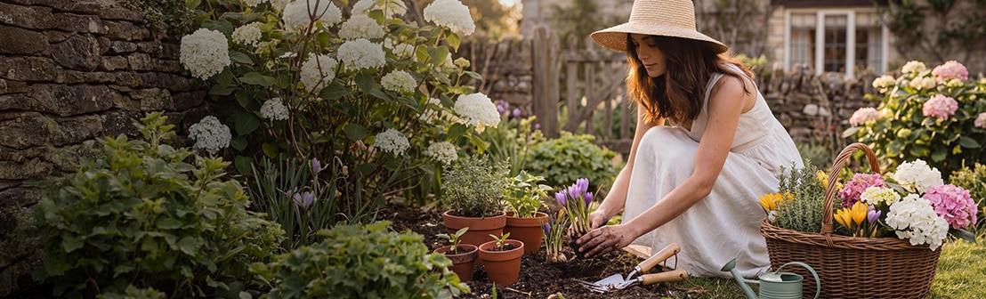 Pflanzen & Zubehör im Angebot